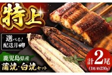 鹿児島産 うなぎ 2尾　蒲焼・白焼 食べ比べ セット 特製秘伝のタレ付き！ ▼うなぎ蒲焼 ウナギ 鰻 蒲焼 白焼 有頭 九州産 うな重 冷凍 かばやき 桂川町/山水商事 [ADAH007]