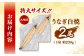 特大！ 鹿児島産 うなぎ 白焼 2尾セット　国産 鰻 ウナギ