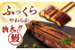 鹿児島産うなぎ2尾 蒲焼・白焼セット 国産 定期便