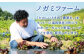 玄米 5kg