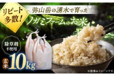 弥山岳の岩清水で育ったノガミファームのお米 玄米10kg(5kg×2袋） 桂川町/NOGAMI FARM [ADAU010]