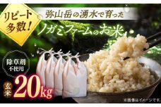 【新米 令和6年産】弥山岳の岩清水で育ったノガミファームの お米 玄米 20kg ( 5kg ×4袋） ▼ おすすめ 人気 ランキング 高評価 国産 福岡県産 九州 米 お米 玄米 ご飯 ごはん ゴハン 精米前 未精米 桂川町/NOGAMI FARM[ADAU012]