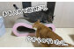 国産 猫の爪とぎ