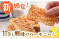 するめ角天（イカフライ） 小分け5袋セット