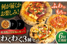 【全6定期便】【合鴨家族の小麦使用】ピザ わくわく3枚セット(マルゲリータ・お任せ2枚）▼ピザ 冷凍 ピザ窯 ぴざ PIZZA パーティー ピッツァ 人気 本格 石窯 クリスマス　 桂川町/PIZZERIA TUTTI [ADBH019]