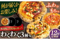 【全12回定期便】【合鴨家族の小麦使用】ピザ わくわく3枚セット(マルゲリータ・お任せ2枚）▼ピザ 冷凍 ピザ窯 ぴざ PIZZA パーティー ピッツァ 人気 本格 石窯 クリスマス　 桂川町/PIZZERIA TUTTI [ADBH020]