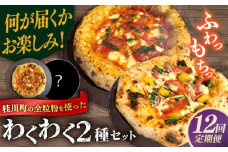 【全12回定期便】【合鴨家族の小麦使用】ピザ わくわく2枚セット(マルゲリータ・お任せ1枚）▼ピザ 冷凍 ピザ窯 ぴざ PIZZA パーティー ピッツァ 人気 本格 石窯 クリスマス　 桂川町/PIZZERIA TUTTI [ADBH024]