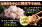 博多もつ鍋おおやま　みそ・しょうゆ食べ比べ　各3人前　 もつ モツ おおやま 味噌 鍋 鍋セット