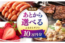 【あとから選べる】桂川町ふるさとギフト 10万円分 ▼ 人気 おすすめ あとから選べる ランキング 高評価 福岡 名物 ご褒美 特別 あとから選べる 返礼品 [ADBV008]