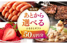 【あとから選べる】桂川町ふるさとギフト 50万円分 ▼ 人気 おすすめ ランキング 高評価 ご褒美 特別 [ADBV010]