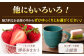 あとからセレクト 駆け込み寄附 選べる ギフト