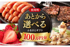 【あとから選べる】桂川町ふるさとギフト 100万円分 ▼ 人気 おすすめ あとから選べる ランキング 高評価 福岡 名物 ご褒美 特別 あとから選べる 返礼品 [ADBV011]