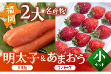 【2024年12月上旬より発送】福岡産 あまおう ＆ ふくや 味の明太子【小】 ▼ めんたいこ 明太子 福岡 イチゴ 苺 セット  桂川町/南国フルーツ株式会社[ADBW001]