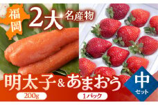【2024年12月上旬より発送】福岡産 あまおう ＆ ふくや 味の明太子【中】 ▼ めんたいこ 明太子 福岡 イチゴ 苺 セット  桂川町/南国フルーツ株式会社[ADBW002]
