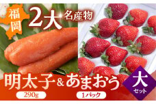 【2024年12月上旬より発送】福岡産 あまおう ＆ ふくや 味の明太子【大】 ▼ めんたいこ 明太子 福岡 イチゴ 苺 セット  桂川町/南国フルーツ株式会社[ADBW003]