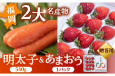 【2024年12月上旬より発送】福岡産 あまおう ＆ ふくや 味の明太子【贈答用】 ▼ めんたいこ 明太子 福岡 イチゴ 苺 セット  桂川町/南国フルーツ株式会社[ADBW004]