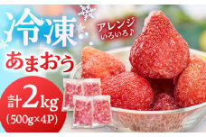 福岡産 冷凍 あまおう 2kg（500g×4袋） ▼ 福岡 冷凍いちご 苺 イチゴ フルーツ 小分け 桂川町/南国フルーツ株式会社[ADBW006]