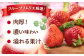 あまおう 博多 福岡 苺 ストロベリー