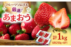 【2025年12月上旬より発送】福岡産【冬】 あまおう 4パック ▼ 福岡 あまおう イチゴ 苺 果物 フルーツ 桂川町/南国フルーツ株式会社[ADBW012]