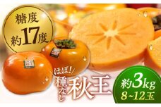 【2025年10月中旬より発送】福岡産ブランド 柿 秋王 約3kg（8-12玉） ▼ 柿 フルーツ 果物 福岡 種なし 桂川町/南国フルーツ株式会社[ADBW021]