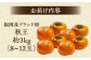 福岡 フルーツ 柿 カキ 果物
