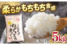 福岡産ブランド 米 夢つくし 5kg ▼ 米 こめ お米 福岡 九州 白米 精米 桂川町/南国フルーツ株式会社[ADBW028]