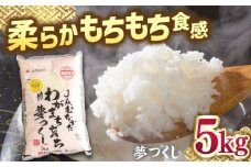 福岡産ブランド 米 夢つくし 5kg ▼ 米 こめ お米 福岡 九州 白米 精米 桂川町/南国フルーツ株式会社[ADBW028]