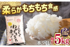 【全12回定期便】福岡産ブランド米・夢つくし5kg ▼ 米 こめ お米 福岡 九州 白米 精米 定期便 桂川町/南国フルーツ株式会社[ADBW038]