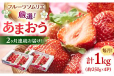 【全2回定期便】福岡産【春】いちご あまおう4パック ▼ イチゴ  苺 福岡 あまおう 果物 フルーツ 定期便  桂川町/南国フルーツ株式会社[ADBW042]