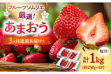 【全3回定期便】福岡産【冬】あまおう4パック ▼ イチゴ  苺 福岡 あまおう 果物 フルーツ 定期便  桂川町/南国フルーツ株式会社[ADBW044]