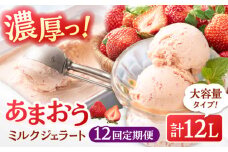 【全12回定期便】福岡産 あまおう ジェラート 1000ml ▼ イチゴ  苺 福岡 あまおう 果物 フルーツ アイス 定期便  桂川町/南国フルーツ株式会社[ADBW050]