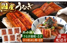 鹿児島産 うなぎ 蒲焼 カット と ひつまぶし 贅沢 セット ▼ 国産 うなぎ 鰻 ウナギ 蒲焼 うなぎ 蒲焼 肉厚 うなぎ うなぎ ウナギ 鰻 冷凍 希少 うなぎ ウナギ 人気 ウナギ うなぎ おすすめ ランキング うなぎ おいしい うなぎ かばやき うなぎ 高級 特別 うなぎ ウナギ ひつまぶし うなぎ ウナギ 九州 福岡 桂川町/山水商事 [ADAH025]