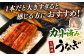 九州産 うなぎ カット済み 蒲焼き ひつまぶし セット 定期便