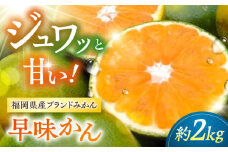 【2025年9月中旬より発送】福岡産ブランドみかん 早味かん 約2kg ▼ 果物 ミカン フルーツ 九州産 国産 人気 おすすめ ランキング 高評価 桂川町/南国フルーツ株式会社[ADBW022]