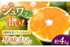 【2025年9月中旬より発送】福岡産ブランド みかん 早味かん 約4kg ▼ 果物 ミカン  みかん フルーツ 九州産 国産 人気 おすすめ ランキング 高評価 桂川町/南国フルーツ株式会社[ADBW023]