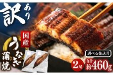 訳あり 鹿児島産 うなぎ 蒲焼 2尾セット▼ 国産 うなぎ 鰻 ウナギ 蒲焼 うなぎ 蒲焼 肉厚 うなぎ うなぎ ウナギ 鰻 冷凍 希少 うなぎ ウナギ 人気 ウナギ うなぎ おすすめ ランキング うなぎ おいしい うなぎ かばやき うなぎ 高級 特別 うなぎ ウナギ ひつまぶし うなぎ ウナギ 九州  桂川町/山水商事 [ADAH029]