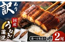 訳あり 鹿児島産 うなぎ 蒲焼 2尾セット▼ 国産 うなぎ 鰻 ウナギ 蒲焼 うなぎ 蒲焼 肉厚 うなぎ うなぎ ウナギ 鰻 冷凍 希少 うなぎ ウナギ 人気 ウナギ うなぎ おすすめ ランキング うなぎ おいしい うなぎ かばやき うなぎ 高級 特別 うなぎ ウナギ ひつまぶし うなぎ ウナギ 九州  桂川町/山水商事 [ADAH029]