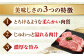 牛肉 希少部位 博多 和牛 極上 赤身 ブランド 国産 高級 ヒレ 特別 上質