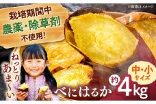 [栽培期間中農薬不使用]さつまいも　4kg（べにはるか）合鴨家族 古野農場/桂川町 [ADAL016]