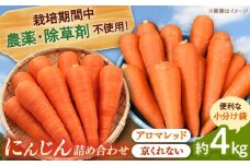 [栽培期間中農薬不使用]人参2種詰め合わせ（アロマレッド・京くれない）（計10袋） 合鴨家族 古野農場/桂川町 [ADAL017]