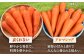 人参 ニンジン セット 野菜 無農薬 栽培期間中農薬不使用 詰め合わせ 