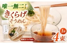 きくらげ麺　1袋（4束） ▼きくらげ キクラゲ  木耳 冷麺 麺 素麺 ソーメン 麺類　桂川町/オドラ株式会社 [ADBA015]