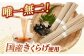 きくらげ 麺 素麺 ソーメン お試し