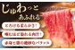 肩ロース 焼肉 スライス しゃぶしゃぶ 定期便 セット