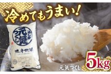 福岡産ブランド 米 元気つくし 5kg ▼ 米 こめ お米 福岡 九州 白米 精米 桂川町/南国フルーツ株式会社[ADBW026]