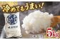 コメ 米 お米 白米 精米 福岡 九州