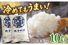 福岡産ブランド米 元気つくし 10kg (5kg×2袋) ▼ 米 こめ お米 福岡 九州 白米 精米 桂川町/南国フルーツ株式会社[ADBW027]