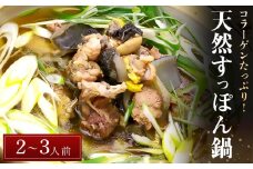 天然すっぽん鍋(2～3人前) 【 福岡県 筑前町 福岡 九州 返礼品 お取り寄せグルメ 取り寄せ グルメ 食品 お取り寄せ 天然 すっぽん 鍋 すっぽん鍋コラーゲン 冷蔵 送料無料 株式会社筑前町ファーマーズマーケットみなみの里 AE006】