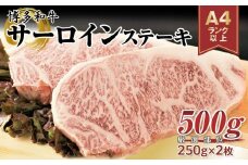 博多和牛 サーロインステーキセット 500g ( 250g×2枚 )【博多和牛 和牛 牛 肉 お肉 サーロイン ステーキ 贅沢 人気 食品 オススメ 送料無料 福岡県 筑前町 AR008】