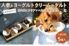 ペットフード(犬のおやつ)　人参とヨーグルトクリームのタルト　5個入り【ペットフード ペット 動物 犬 餌 エサ 小型犬 愛犬 愛犬家 愛犬用 スイーツ タルト おやつ 犬用 ペット用 ご褒美 福岡県 筑前町 ふるさと納税 送料無料 CH003】